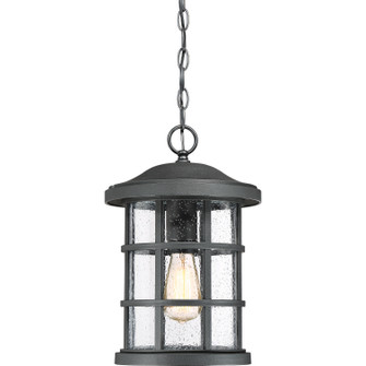 Crusade One Light Outdoor Hanging Lantern in Earth Black (10|CSE1910EK)