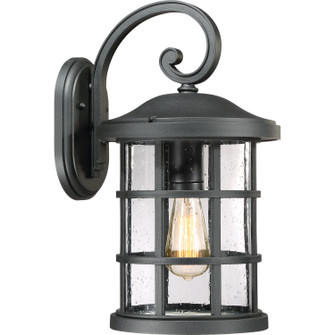 Crusade One Light Outdoor Wall Lantern in Earth Black (10|CSE8410EK)