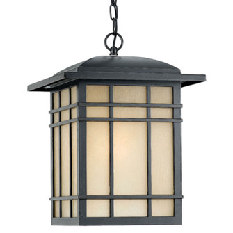 Hillcrest One Light Outdoor Hanging Lantern in Imperial Bronze (10|HC1913IB)