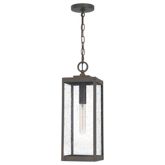 Westover One Light Outdoor Hanging Lantern in Industrial Bronze (10|WVR1907IZ)