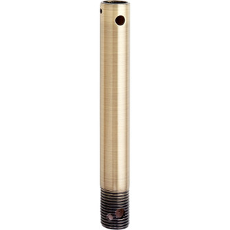 6 in. Downrods Downrod in Antique Brass (19|6-064)