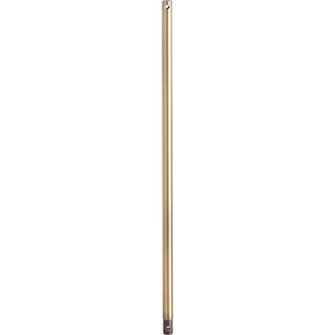 24 in. Downrods Downrod in Antique Brass (19|6-244)