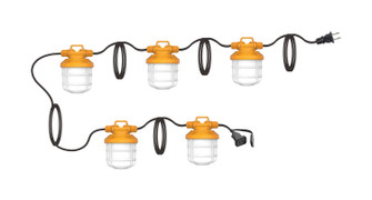 LED String Light in Frost (230|S28976)
