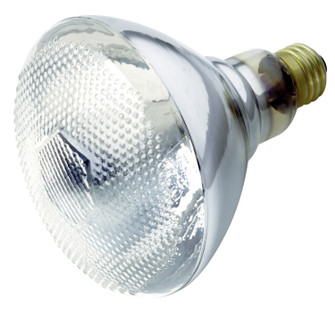 Light Bulb in Clear (230|S4752)