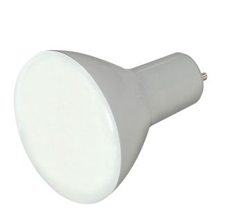 Light Bulb (230|S9624)