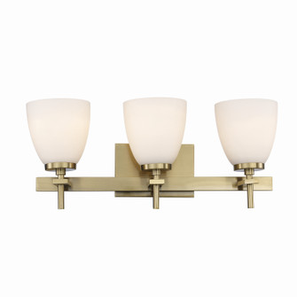 Bathroom Fixtures - Three Lights (110|22293 AG)