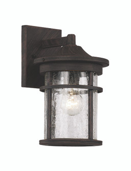 Avalon One Light Wall Lantern in Rust (110|40380 RT)