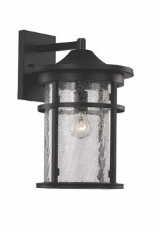 Avalon One Light Wall Lantern in Black (110|40381 BK)