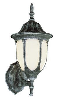 Hamilton One Light Wall Lantern in Swedish Iron (110|4040 SWI)