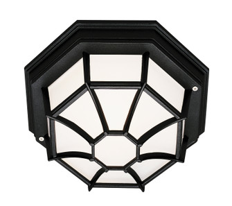 Benkert One Light Flushmount Lantern in Black (110|40581 BK)