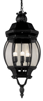 Parsons Four Light Hanging Lantern in Black (110|4067 BK)