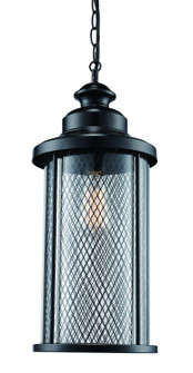 Stewart One Light Hanging Lantern in Black (110|40745 BK)