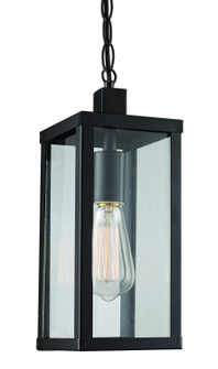 Oxford One Light Hanging Lantern in Black (110|40756 BK)