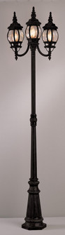 Parkway Three Light Pole Light in Black (110|4090 BK)