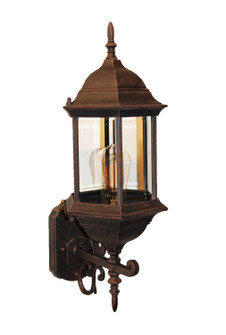 Josephine One Light Wall Lantern in Rust (110|4351 RT)