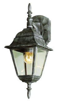 Argyle One Light Wall Lantern in Swedish Iron (110|4411 SWI)