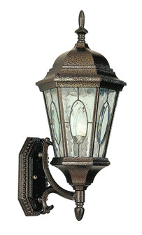 Villa Nueva One Light Wall Lantern in Brown (110|4715 BRZ)