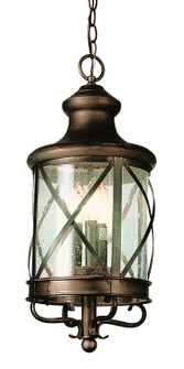 Chandler Four Light Hanging Lantern in Rubbed Oil Bronze (110|5126 ROB)