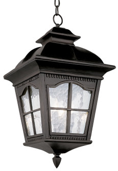 Briarwood Three Light Hanging Lantern in Black (110|5421 BK)
