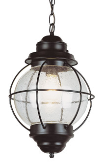 Catalina One Light Hanging Lantern in Black (110|69903 BK)