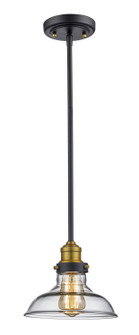 Jackson One Light Pendant in Rubbed Oil Bronze (110|70823 ROB)