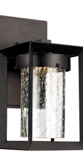 Taylor LED Wall Lantern in Black (110|LED-50160 BK)