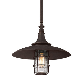 Allegheny One Light Hanging Lantern in Centennial Rust (67|F3229)