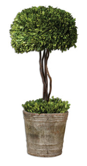 Preserved Boxwood Preserved Boxwood in Mossy Stone (52|60095)