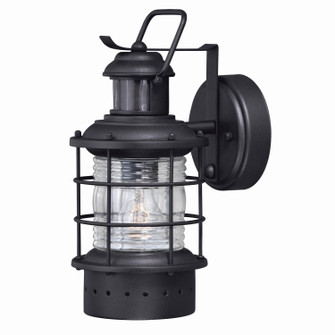 Hyannis One Light Motion Sensor Outdoor Wall Light in Textured Black (63|T0254)