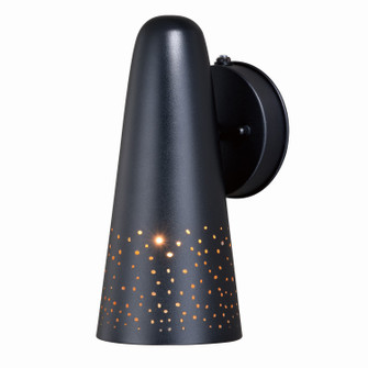 Ephraim One Light Outdoor Wall Mount in Textured Black (63|T0395)