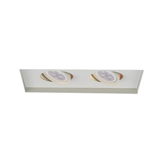 Mr16 Multiples LED Invisible Trim in White (34|MT-216LEDTL-WT)