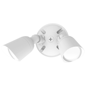 Endurance Double Spot LED Spot Light in Architectural White (34|WP-LED430-50-aWT)
