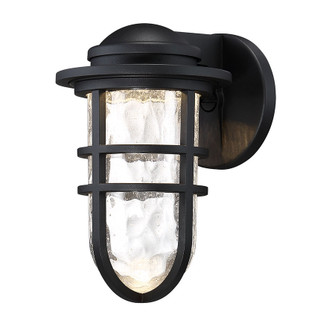 Steampunk LED Wall Light in Black (34|WS-W24509-BK)