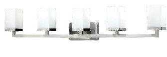 Tidal Five Light Vanity in Brushed Nickel (224|1900-5V)