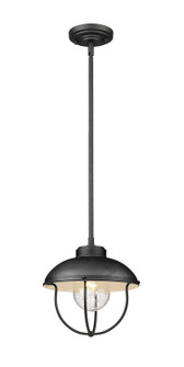 Ansel One Light Outdoor Pendant in Black (224|590P-BK)