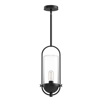 Cyrus One Light Pendant in Clear Glass/Matte Black (452|PD539018MBCL)