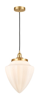 Edison LED Mini Pendant in Satin Gold (405|616-1PH-SG-G661-12-LED)