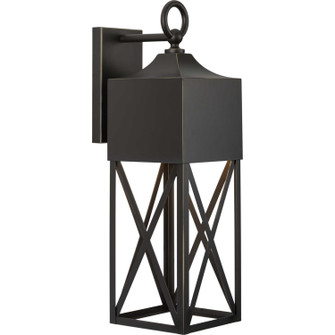 Birkdale One Light Outdoor Wall Lantern in Antique Bronze (54|P560317-020)