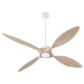 Papillon 66''Ceiling Fan in Studio White (19|28664-8)