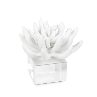 Succulent Sculpture in White (400|20-1484)