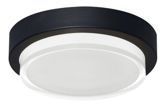 Elm LED Outdoor Flush Mount in Black (162|ELMW11LAJUDBK)