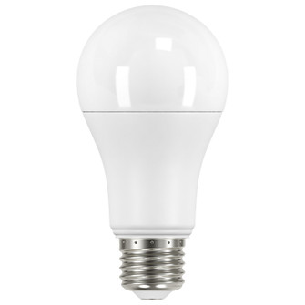 Light Bulb in Frost (230|S11454)