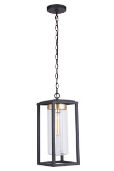 Neo One Light Outdoor Pendant in Midnight / Satin Brass (46|ZA4821-MNSB)