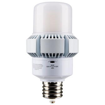 Light Bulb in White (230|S13165)