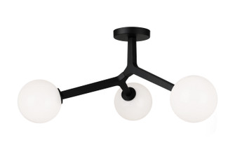 Rami Three Light Ceiling Mount in Black (423|X81503BKOP)