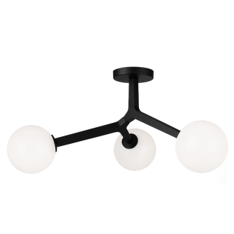 Rami Three Light Ceiling Mount in Black (423|X81503BKOP)