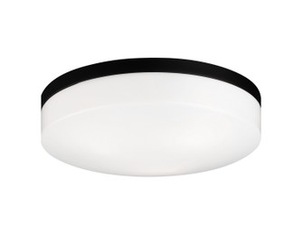 Xenon LED Flush Mount in Black (423|M13003BK)