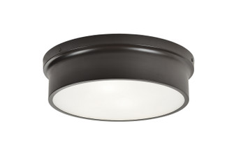 Ciotola Two Light Flush Mount in Bronze (423|M12802BZ)