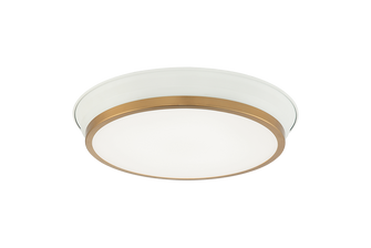 Jaxx LED Ceiling Mount in White + Aged Gold Brass (423|M11202WHAG)