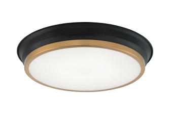 Jaxx Two Light Ceiling Mount in Black / Aged Gold Brass (423|M11202BKAG)